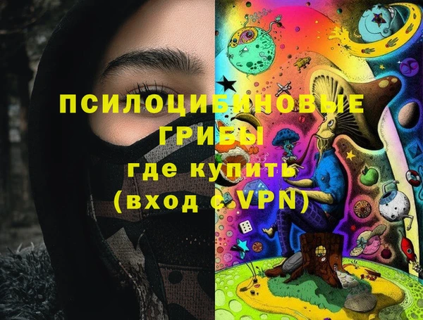 МДПВ Абаза
