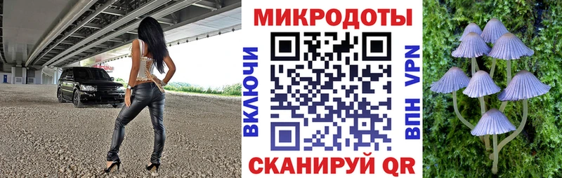Галлюциногенные грибы Cubensis  Шарья 